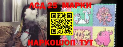 a pvp Братск