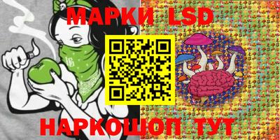 a pvp Братск