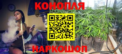a pvp Братск