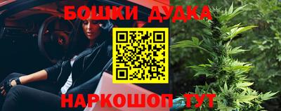 a pvp Братск