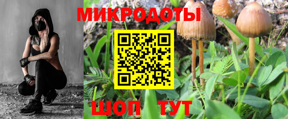 Воркута  Галлюциногенные грибы Psilocybine cubensis  Вход с VPN 